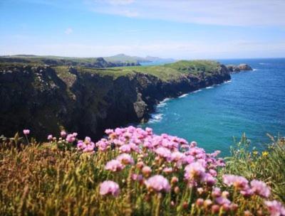 Middle Cottage Sandy Haven Beach 밀포드헤이븐 외부 사진